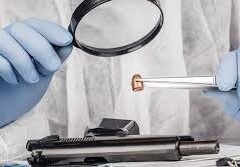 Сот-биологиялық сараптамада заттай дәлелдемелерді зерттеу Сот-биологиялық сараптамада заттай дәлелдемелерді зерттеу